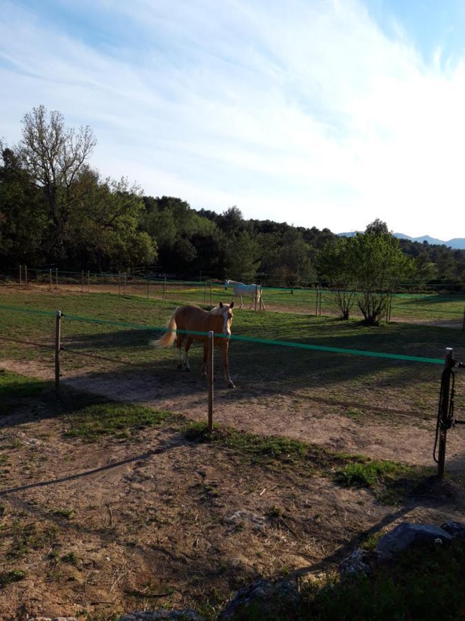 La Margottiere Chez Isa Et Titi Rians (Var) Exterior foto