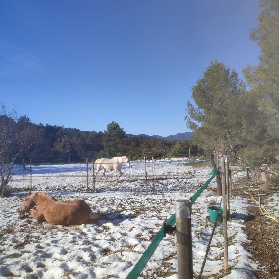 La Margottiere Chez Isa Et Titi Rians (Var) Exterior foto