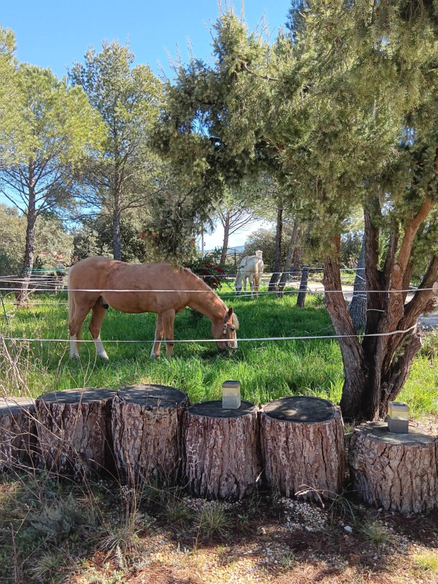 La Margottiere Chez Isa Et Titi Rians (Var) Exterior foto
